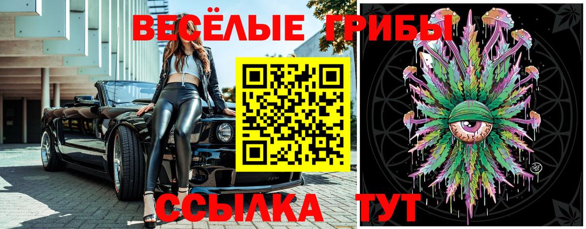 Галлюциногенные грибы Psilocybe  Вход с VPN  как найти закладки  Кулебаки 